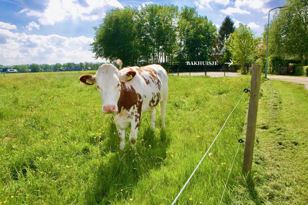Bakhuisje Op De Veluwe Heerde Zewnętrze zdjęcie