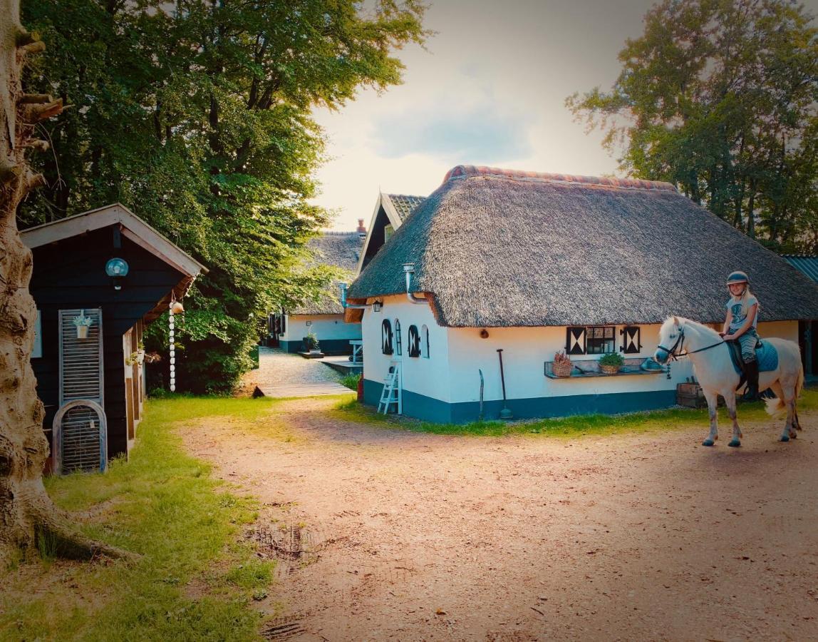 Bakhuisje Op De Veluwe Heerde Zewnętrze zdjęcie