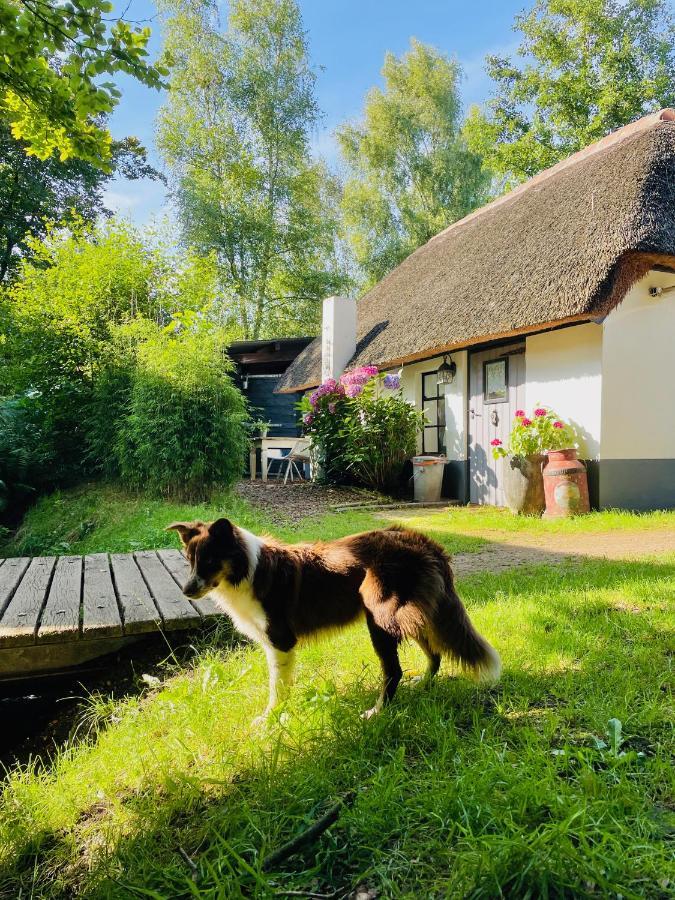 Bakhuisje Op De Veluwe Heerde Zewnętrze zdjęcie
