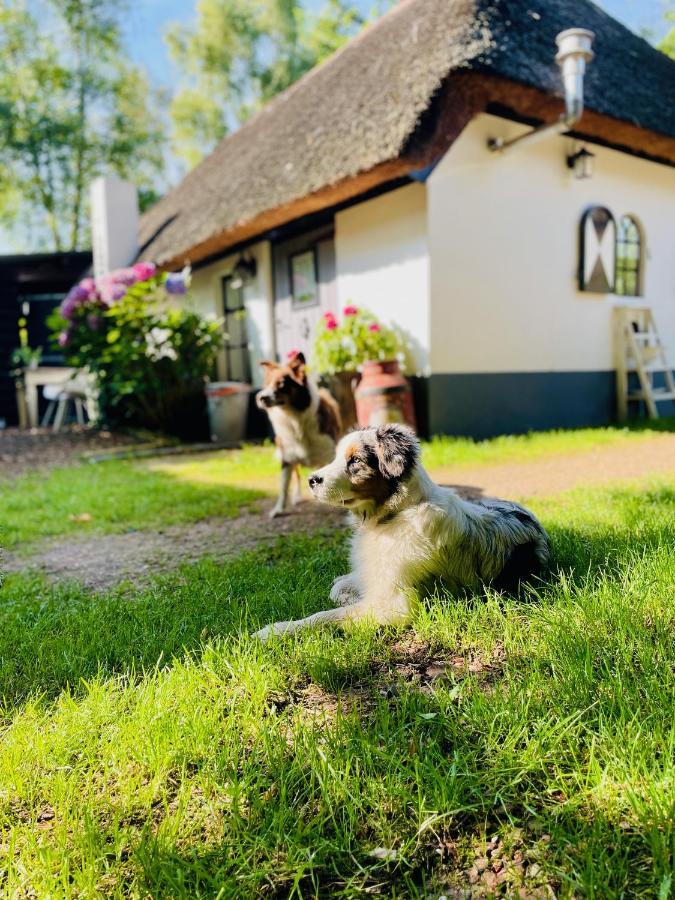 Bakhuisje Op De Veluwe Heerde Zewnętrze zdjęcie