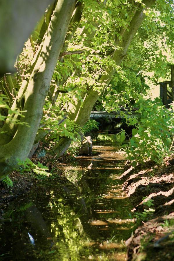 Bakhuisje Op De Veluwe Heerde Zewnętrze zdjęcie